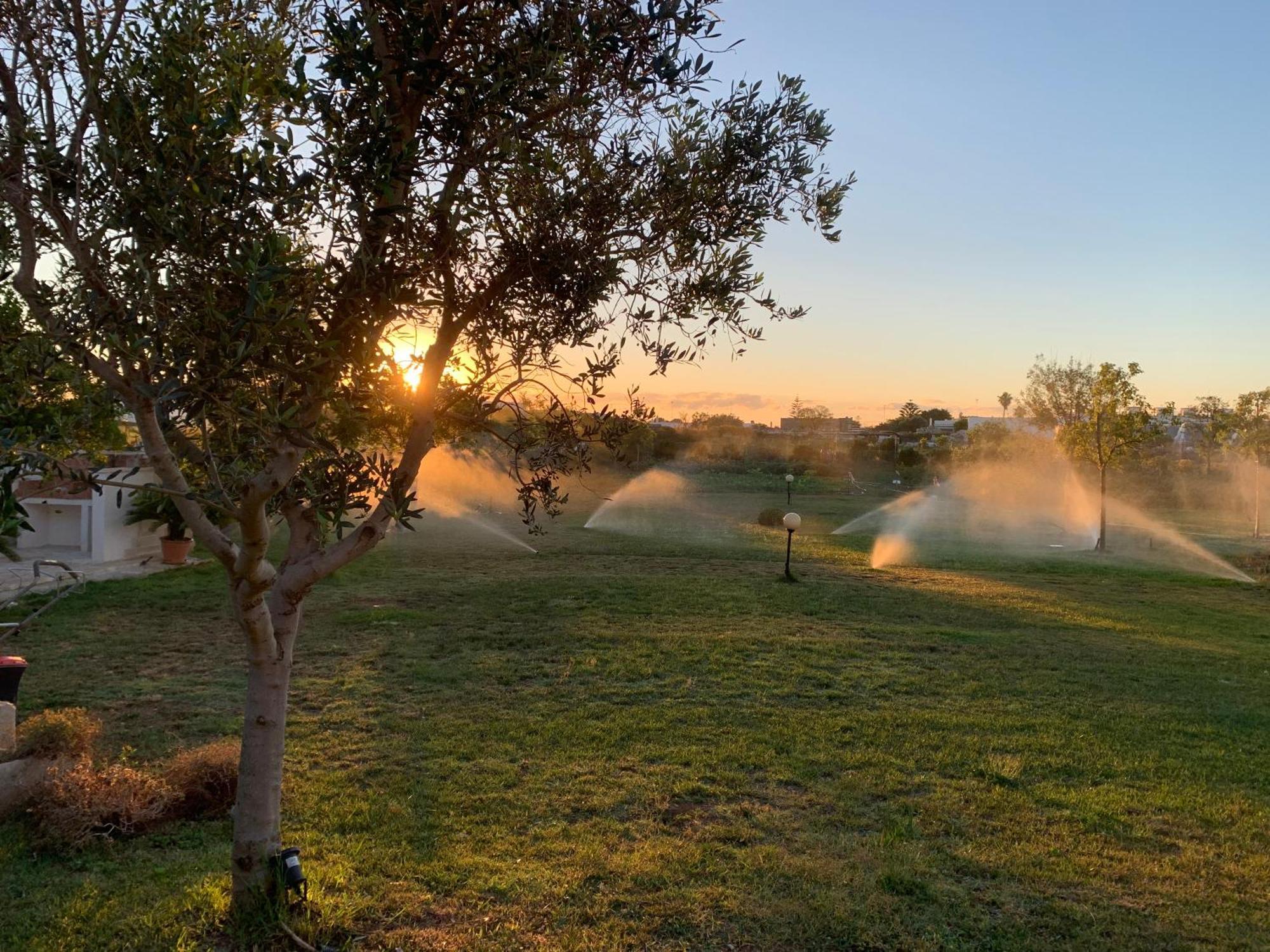 Masseria Capece Bed & Breakfast Uggiano La Chiesa Dış mekan fotoğraf